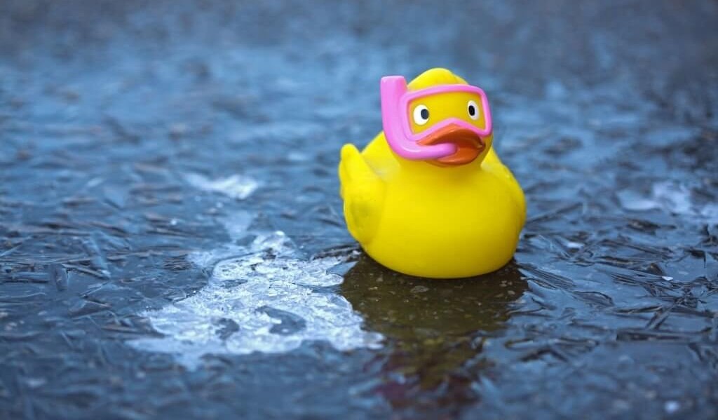 Un pato de plástico colocado sobre una superficie helada, creando un espectáculo caprichoso e inesperado